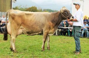 141003Sarnen 063